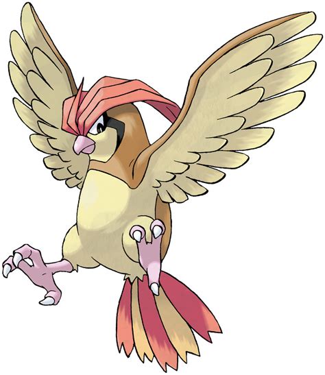 pidgeot evolution level